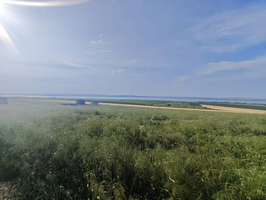 Продам участок 5 соток, ИЖС, Вязов ул, Веселовка п, 0 км от города