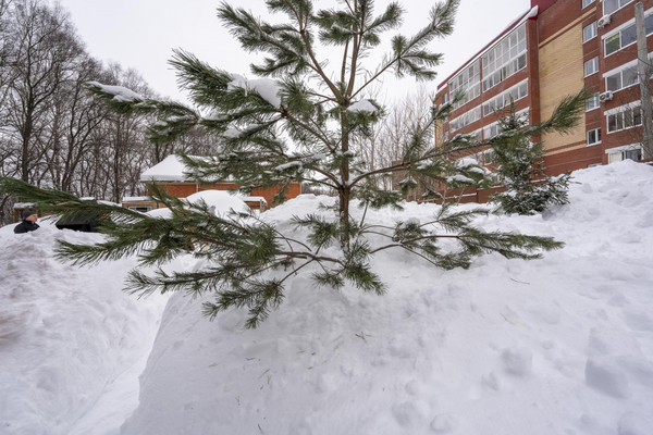 Продам участок 11 соток, Фермерское хоз., Малая ул, 1б, Пермь г, 0 км от города