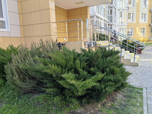 Продам однокомнатную (1-комн.) квартиру, Мирная ул, 29к6, Анапа г