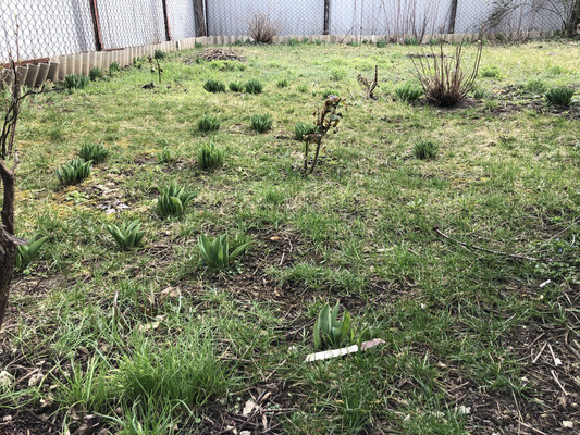 Продам дачу, 6-й пер, 49, Майкоп г, 0 км от города