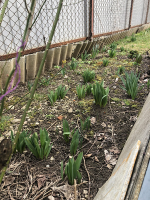 Продам дачу, 6-й пер, 49, Майкоп г, 0 км от города