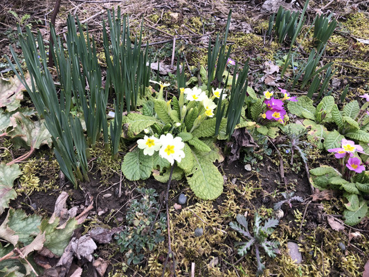 Продам дачу, 6-й пер, 49, Майкоп г, 0 км от города