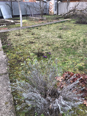 Продам дачу, 6-й пер, 49, Майкоп г, 0 км от города