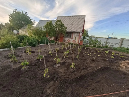 Продам дачу, 2425 км, 69, Ишим г, 0 км от города