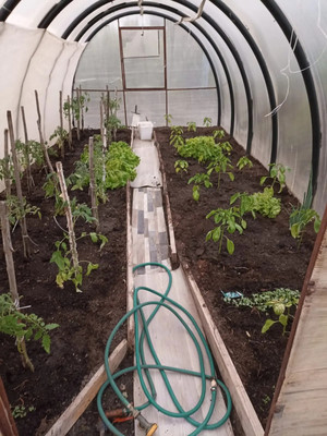 Продам дачу, 2425 км, 69, Ишим г, 0 км от города