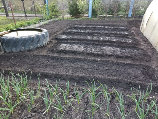 Продам дачу, 2425 км, 69, Ишим г, 0 км от города