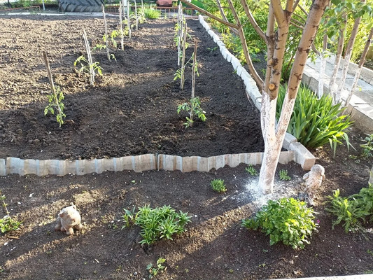 Продам дачу, 2425 км, 69, Ишим г, 0 км от города