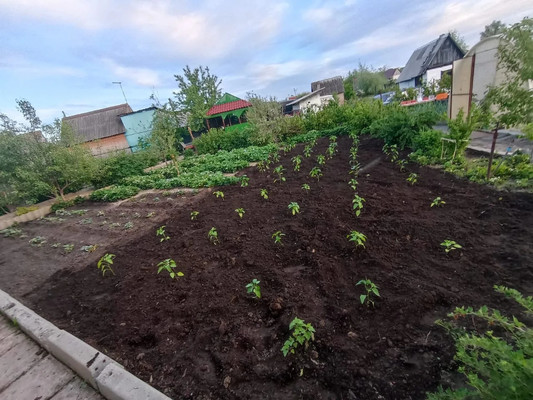 Продам дачу, 2425 км, 69, Ишим г, 0 км от города