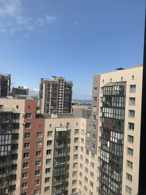 Продам однокомнатную (1-комн.) квартиру, Адмирала Трибуца ул, 8А, Санкт-Петербург г