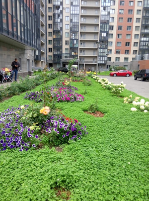 Продам однокомнатную (1-комн.) квартиру, Адмирала Трибуца ул, 8А, Санкт-Петербург г