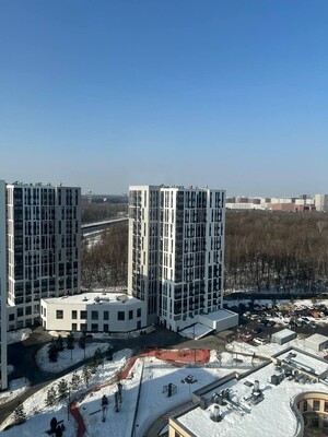 Продам однокомнатную (1-комн.) квартиру, Прокшинский пр-кт, 12, Сосенское п