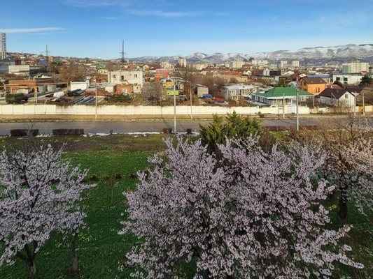 Продам двухкомнатную (2-комн.) квартиру, Куникова ул, 36, Новороссийск г