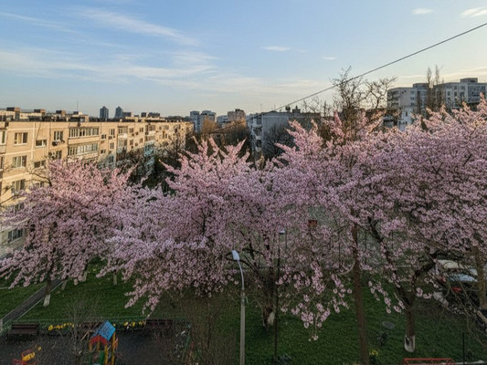 Продам двухкомнатную (2-комн.) квартиру, Куникова ул, 36, Новороссийск г