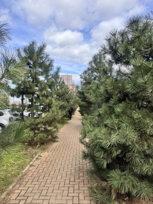 Продам однокомнатную (1-комн.) квартиру, Степная ул, 1/1к4, Краснодар г