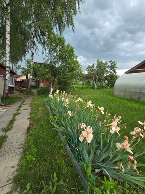 Продам дом, 7, Ям с, 0 км от города