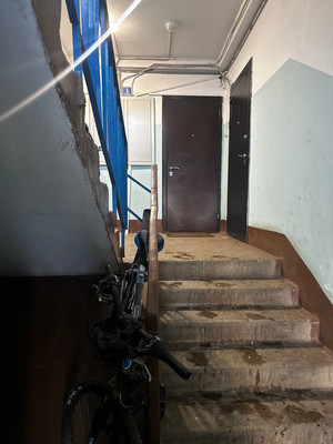 Продам трехкомнатную (3-комн.) квартиру, Центральная ул, 4, Птичное п