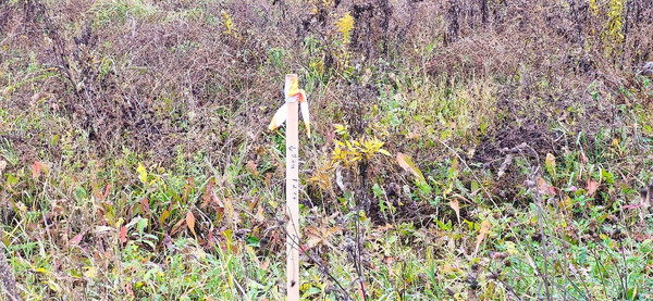 Продам участок 5 соток, ИЖС, Матчино д, 0 км от города