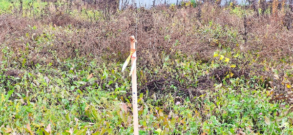 Продам участок 5 соток, ИЖС, Матчино д, 0 км от города