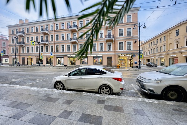 Продам трехкомнатную (3-комн.) квартиру, Большой П.С. пр-кт, 28к1, Санкт-Петербург г