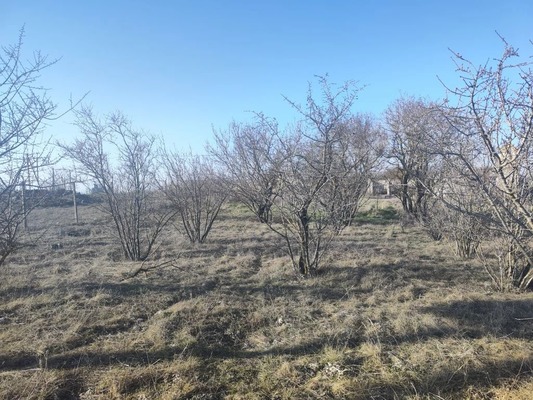 Продам участок 6,42 соток, Фермерское хоз., Мира ул, Урожайное с, 0 км от города