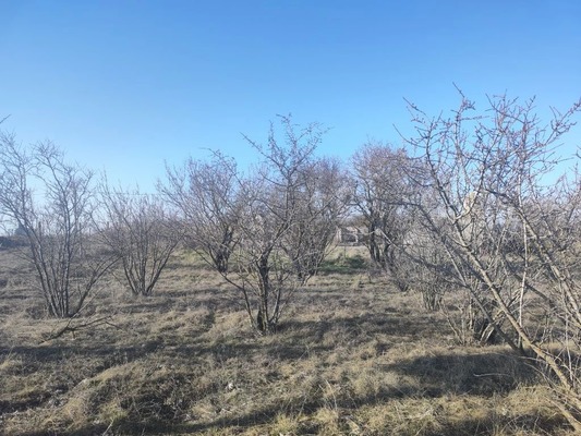 Продам участок 6,42 соток, Фермерское хоз., Мира ул, Урожайное с, 0 км от города