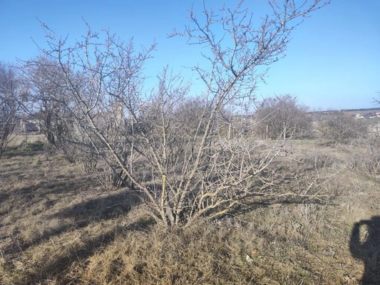 Продам участок 6,42 соток, Фермерское хоз., Мира ул, Урожайное с, 0 км от города