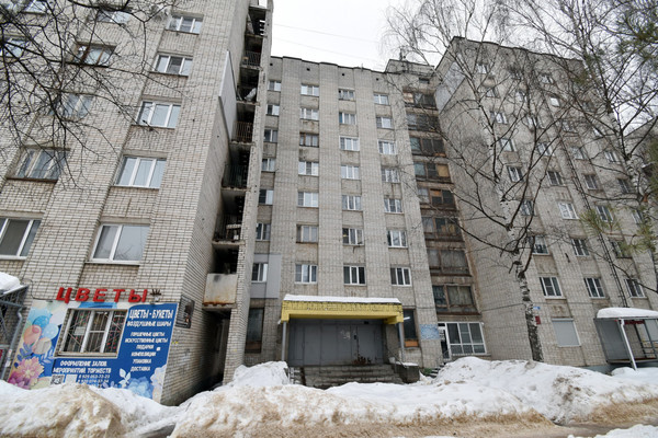 Продам однокомнатную (1-комн.) квартиру, Березовская ул, 106, Нижний Новгород г