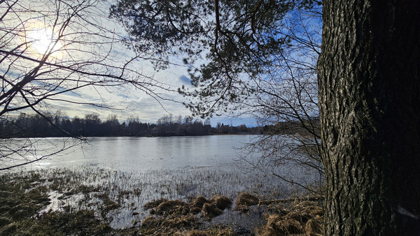 Продам дом, Офицерская ул, 107, Токсово гп, 0 км от города