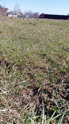 Продам участок 50 соток, ИЖС, Армавирская ул, Высокий п, 0 км от города