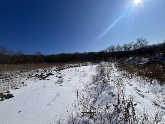 Продам участок 15 соток, Фермерское хоз., Руднева ул, 40, Фокино г, 0 км от города