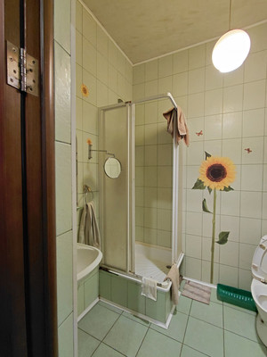 Продам дом, Парковая ул, 8А, Борки д, 0 км от города