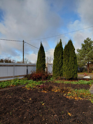 Продам дом, Парковая ул, 8А, Борки д, 0 км от города