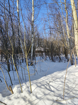 Продам участок 20,1 соток, Садоводство, ДНТ Обухово тер, Раменское г, 0 км от города