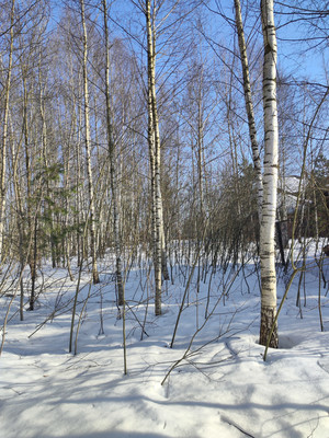 Продам участок 20,1 соток, Садоводство, ДНТ Обухово тер, Раменское г, 0 км от города