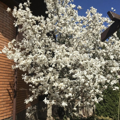 Продам дом, 1221, Сивково д, 0 км от города