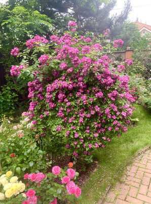 Продам дом, 1221, Сивково д, 0 км от города