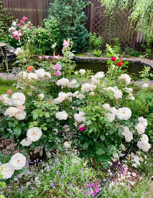 Продам дом, 1221, Сивково д, 0 км от города