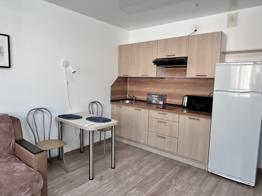 Сдам однокомнатную (1-комн.) квартиру, Королёва пр-кт, 64к1, Санкт-Петербург г