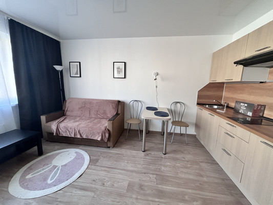 Сдам однокомнатную (1-комн.) квартиру, Королёва пр-кт, 64к1, Санкт-Петербург г