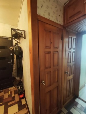 Продам трехкомнатную (3-комн.) квартиру, Антона Петрова ул, 222, Барнаул г