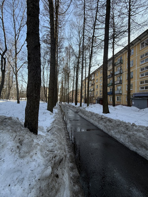 Продам двухкомнатную (2-комн.) квартиру, Ивовая ул, 3, Алексеевка д