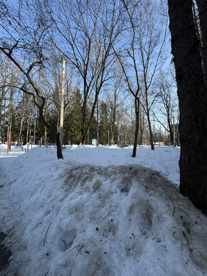 Продам двухкомнатную (2-комн.) квартиру, Ивовая ул, 3, Алексеевка д