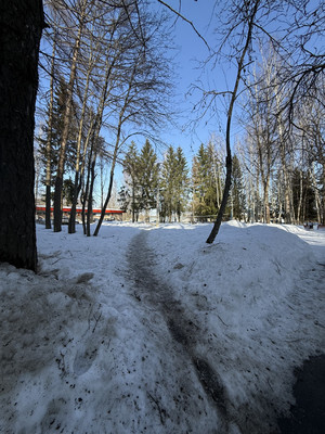 Продам двухкомнатную (2-комн.) квартиру, Ивовая ул, 3, Алексеевка д