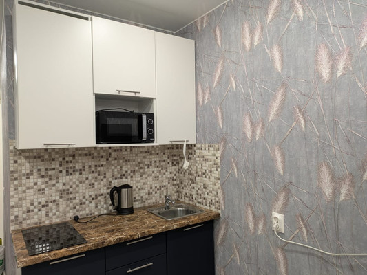 Сдам однокомнатную (1-комн.) квартиру, Шоссе в Лаврики ул, 67, Мурино п