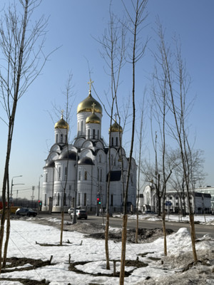 Продам двухкомнатную (2-комн.) квартиру, Берёзовая аллея, 19к3, Москва г