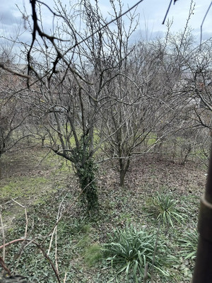 Продам дом, Лесопарковая ул, 84, Ростов-на-Дону г, 0 км от города