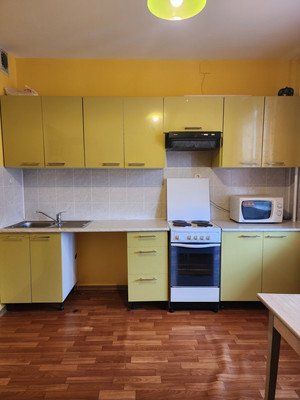 Сдам однокомнатную (1-комн.) квартиру, Авиаконструкторов пр-кт, 20к1, Санкт-Петербург г