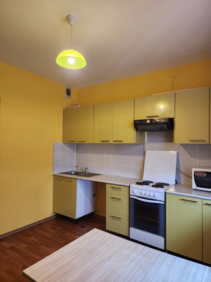 Сдам однокомнатную (1-комн.) квартиру, Авиаконструкторов пр-кт, 20к1, Санкт-Петербург г