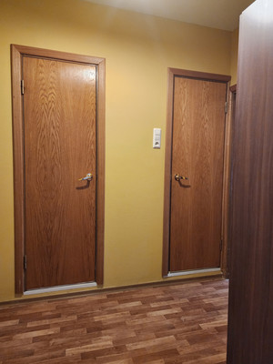 Сдам однокомнатную (1-комн.) квартиру, Авиаконструкторов пр-кт, 20к1, Санкт-Петербург г