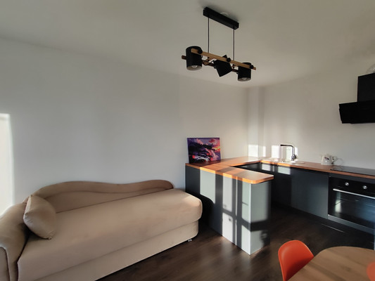 Сдам однокомнатную (1-комн.) квартиру, Дальневосточный пр-кт, 35к3, Санкт-Петербург г